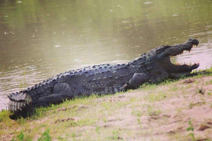 Private Day Tour: Yala National Park Safari Tour from Galle & Weligama