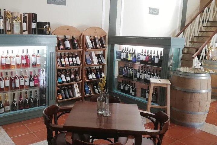 Wine Tour Discover the history and flavors of the best winery's of Lisbon Region