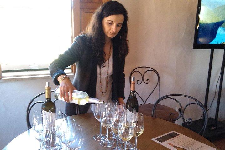 Wine Tour Discover the history and flavors of the best winery's of Lisbon Region