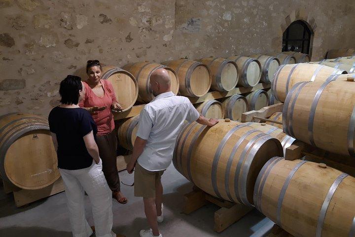 Half-day private tour in Saint-Emilion in a sidecar