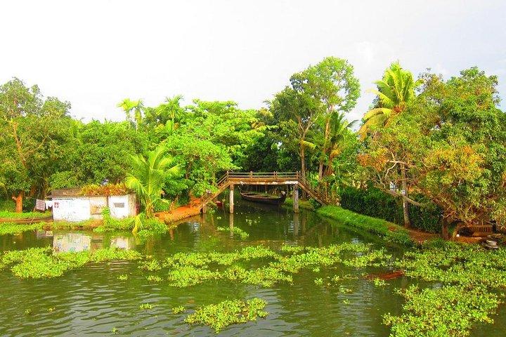 Cochin Shore Excursions from Cruise Terminal