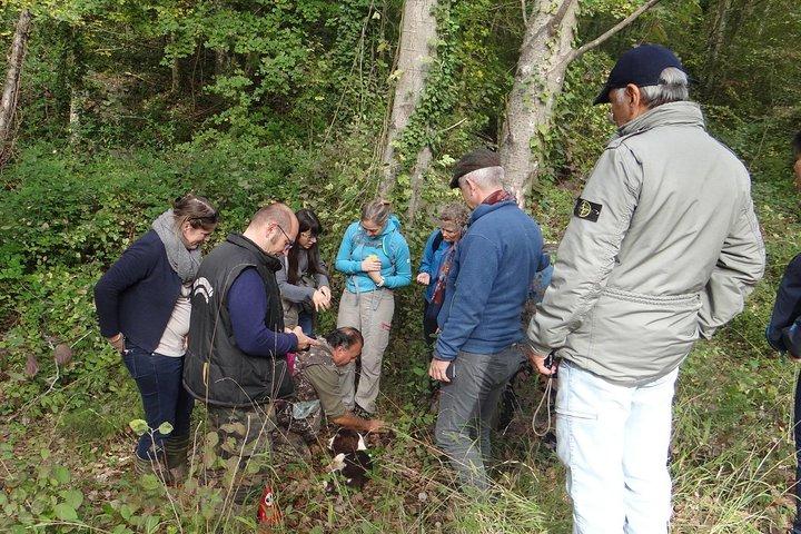 Private Truffle Hunting in Chianti from Florence