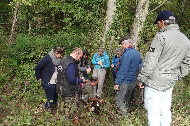Private Truffle Hunting in Chianti