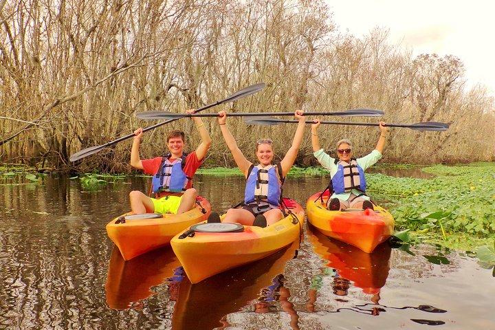 Blue Springs Manatee Tours & Wildlife Adventure Orlando