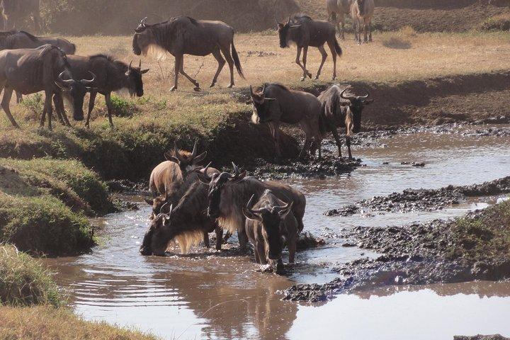 14 Days Kenya,Tanzania and Zanzibar Beach holidays