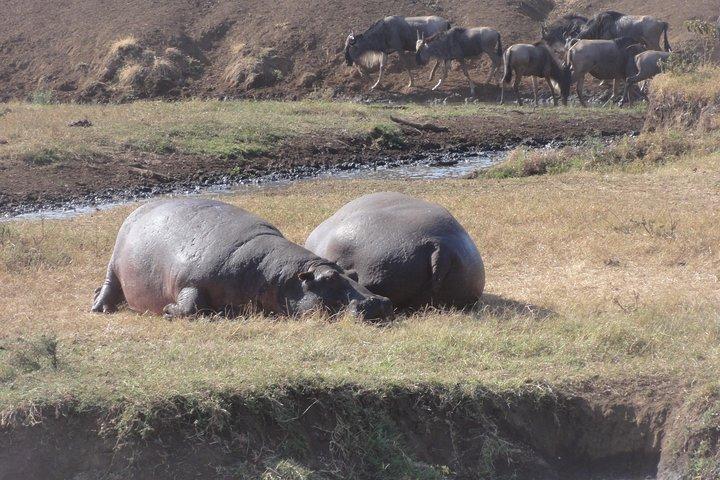 14 Days Kenya,Tanzania and Zanzibar Beach holidays