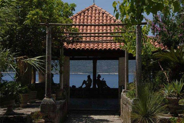 Panorama Dubrovnik & Arboretum Trsteno PRIVATE TOUR
