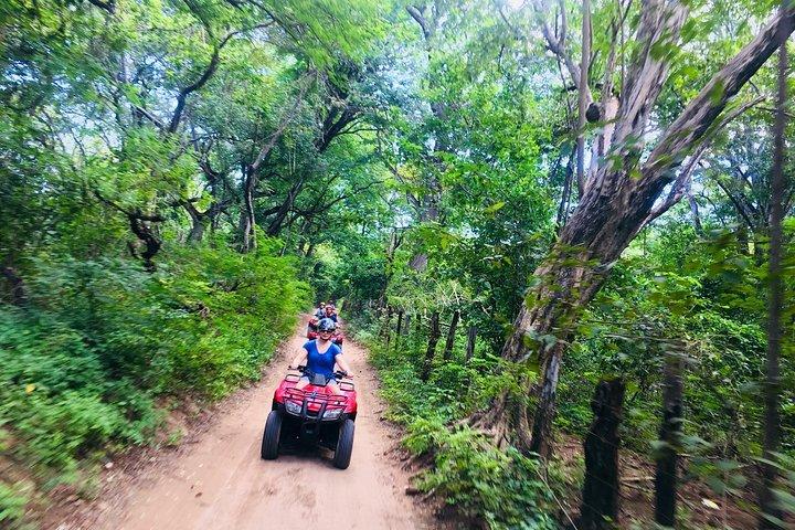 4x4 Dominican Adventure with Chocolate and Coffee Tasting