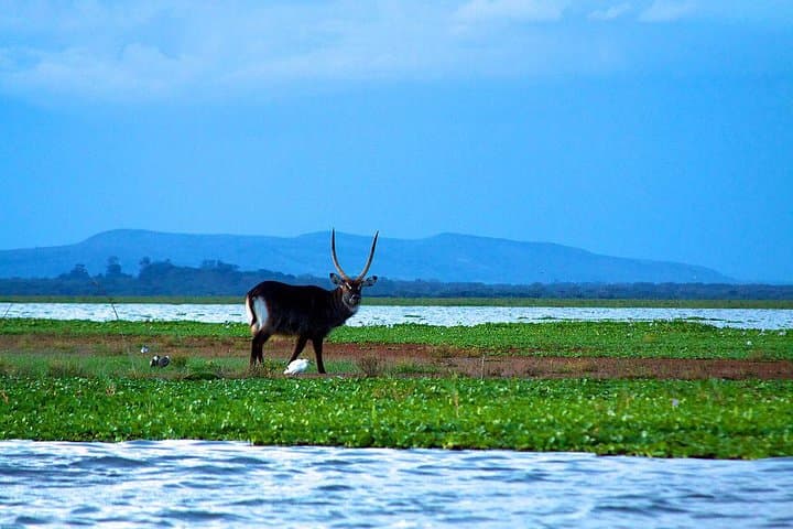Day tour to mount Longonot park from Nairobi