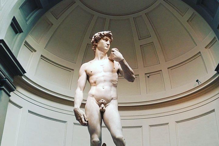 Florence: 1-hour Accademia Gallery guided experience with entrance tickets