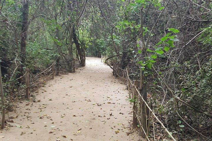 Walk And Snorkel In The National Park HT