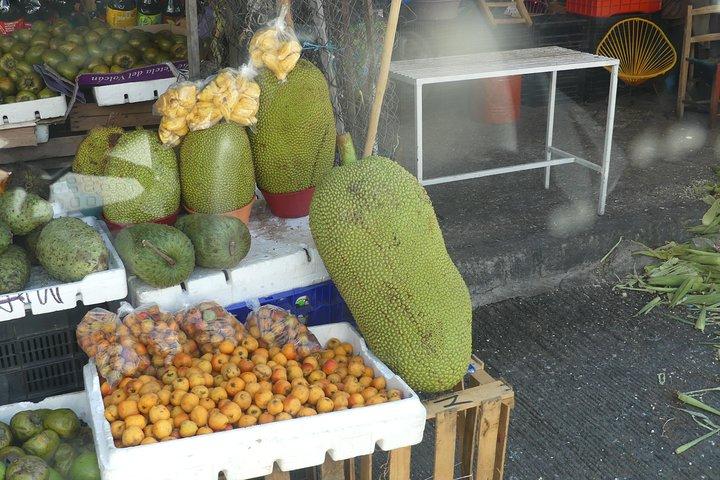 Hidden Acapulco: Off-the-Beaten-Path Immersive with Local Lunch