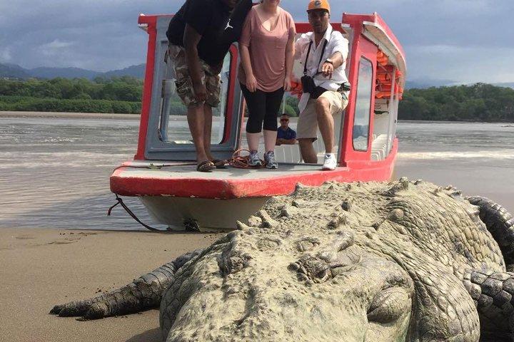 Crocodile Man Tour - THE ORIGINAL Tarcoles River Experience