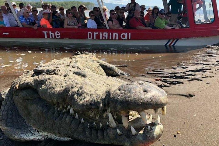 Crocodile Man Tour - THE ORIGINAL Tarcoles River Experience