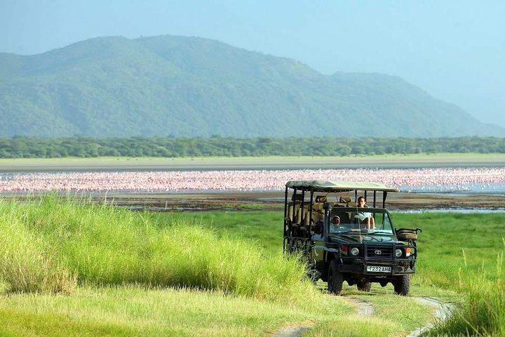 Tanzania 4 Days 3 Nights Budget camping safari to Serengeti and Ngorongoro