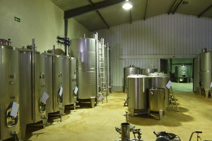 Algarve Wine Tour of Two Wine Estates