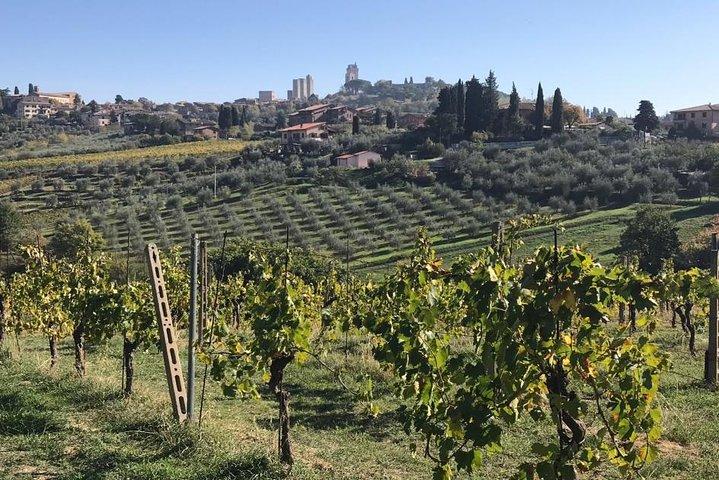 Florence Day Trip to Volterra and San Gimignano