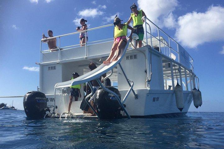 Barbados Turtle and Shipwreck Snorkel Adventure