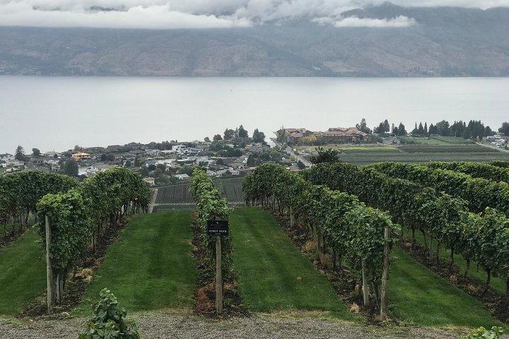 Full Day 4 Wineries Mission Hill & Quails Gate With Lunch Stop*