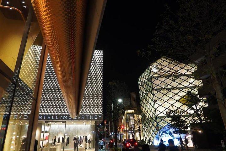 Private Harajuku Omotesando Architecture Walking Tour