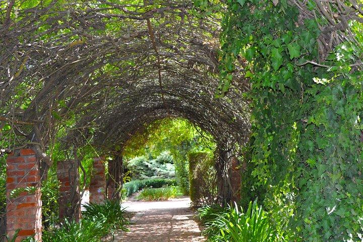 Barossa Valley Cellar Door Small Group Tour