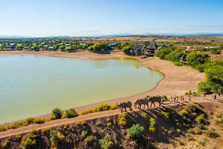 3 Day Garden Route's Best Highlights with Safari from Cape Town