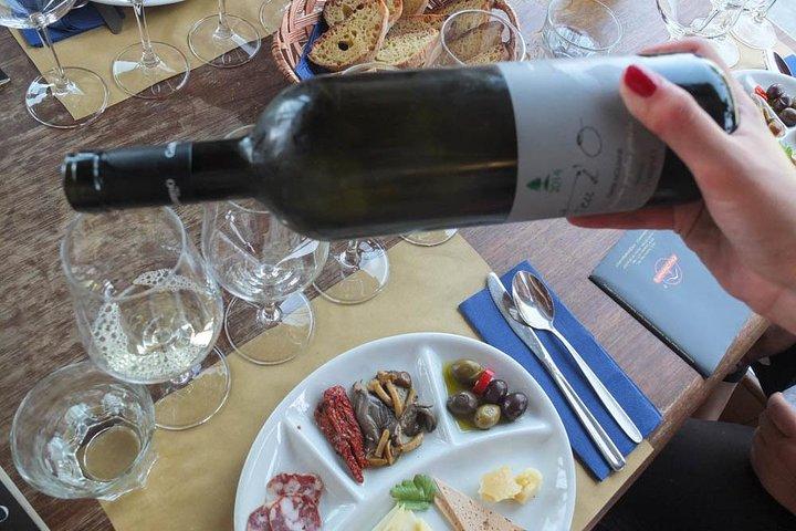 Etna Private tour from Messina Cruise Terminal + Lunch at Winery
