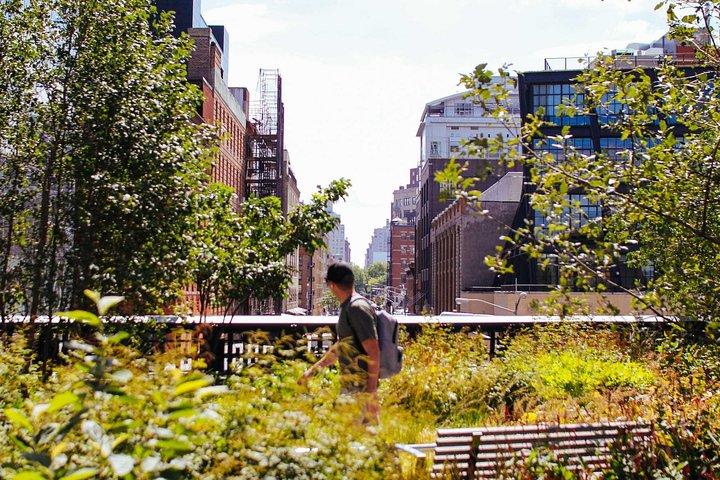 High Line and Chelsea Small Group Tour