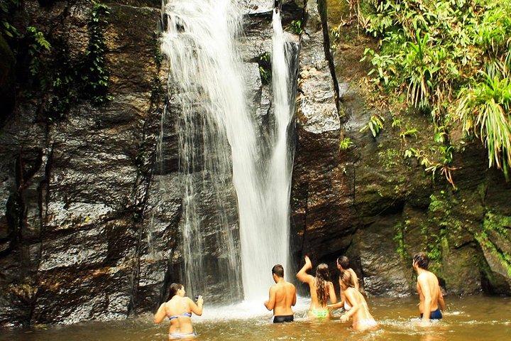 Private Tour: Rio de Janeiro Eco Tour at Tijuca National Park