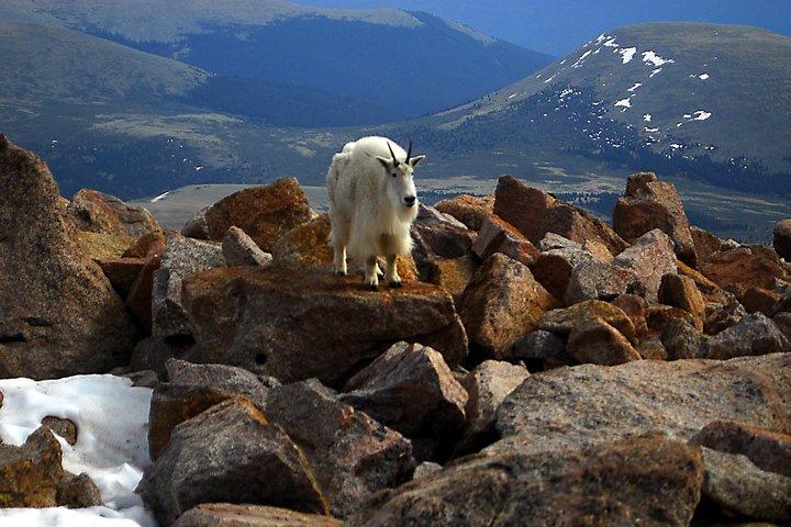Mount Blue Sky, Clear Creek Canyon & Red Rocks Park (Mount Evans)