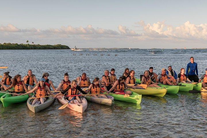 Bio Bay Night Kayaking with Transport from San Juan Area