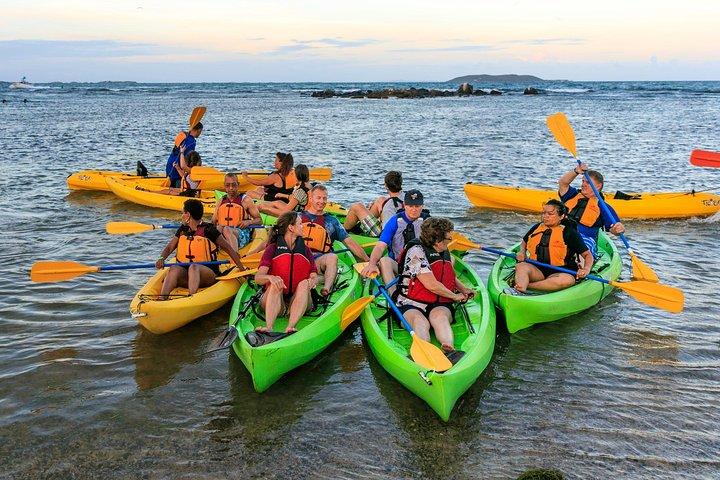 Bio Bay Night Kayaking with Transport from San Juan Area