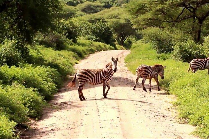 Nairobi park &optional Baby Elephant-4x4 Safari Jeep(not minivan)