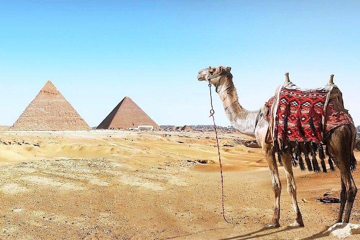 Private Tour Giza Pyramids, Sakkara pyramid, Memphis city ,Camel Ride with Lunch