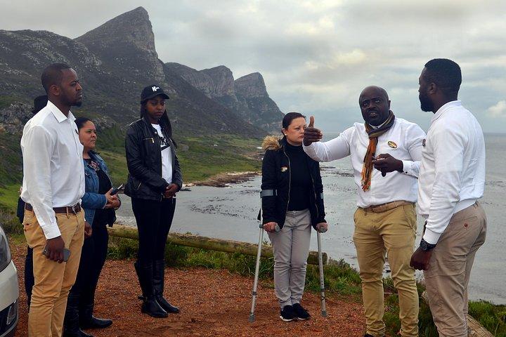 Cape Peninsula Private Tour with entrance fees to Cape of Good Hope and Penguins