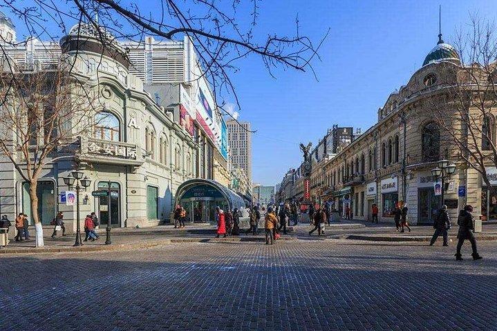 Harbin City Group Tour including Crossing Songhua River by Ropeway and Ice Swimming Show