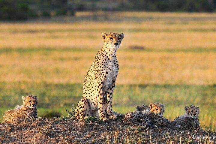 3-Day Maasai Village Safari
