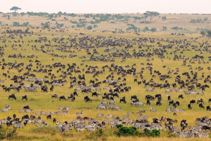 3-Day Maasai Village Safari