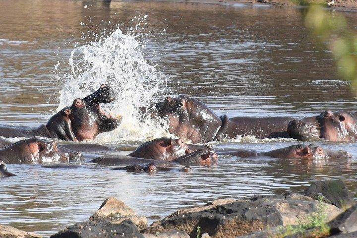 2-Day Maasai Mara Safari