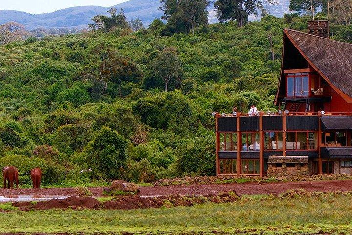 Overnight to Aberdares National Park