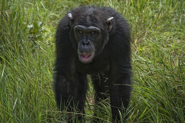 Day Tour to Ol Pejeta Conservancy