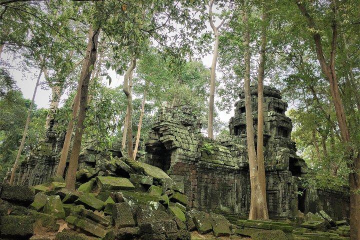 Private full day Angkor Small tour by Lexus