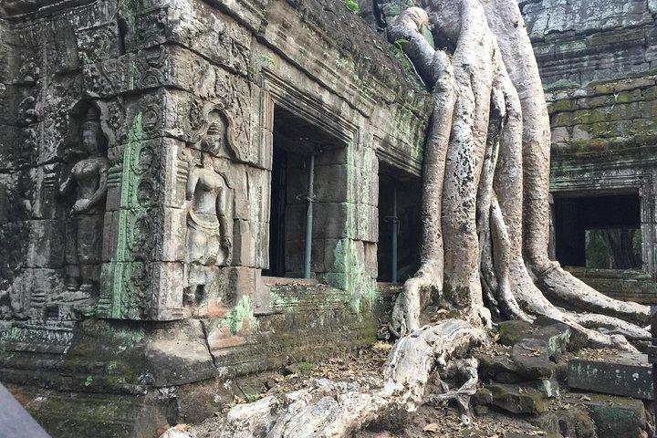 Private full day Angkor Small tour by Lexus