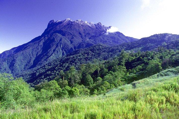 Kinabalu Park Tour with Desa Dairy Farm & Poring Hot Springs