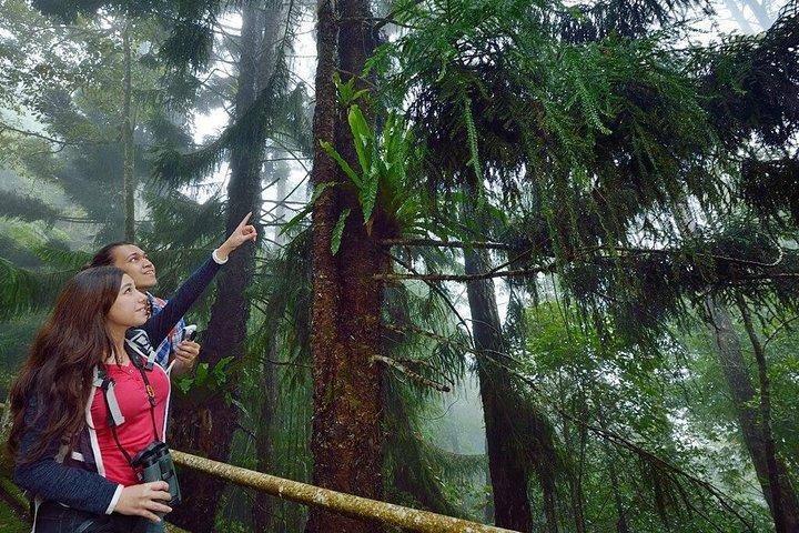 Kinabalu National Park Tour