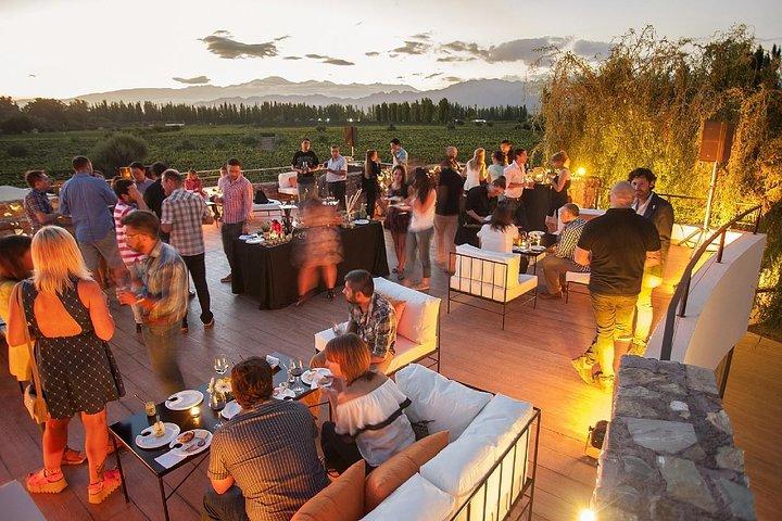 Mendoza Wine Route A Full Day Private Excursion