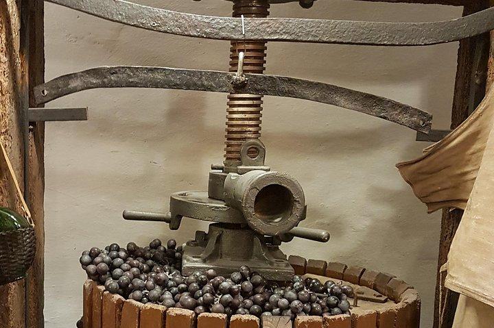 Roman Countryside: Wine and Food Tasting, Private Day Tour