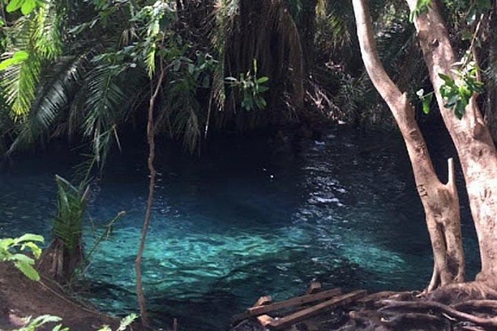 The Hot Springs