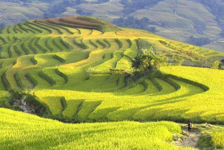 From Hanoi: 2-Day Fansipan Peak and Trek to Village with Train