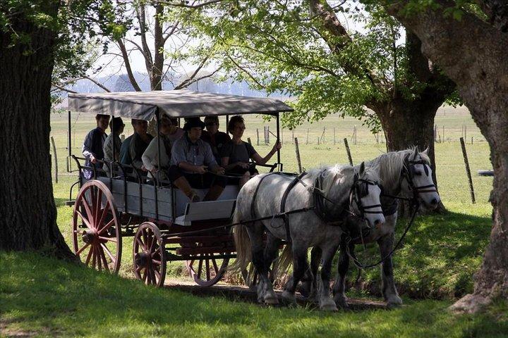 Buenos Aires Super Saver: City Tour, Gaucho Day at a Farm & Tango Dinner-Show
